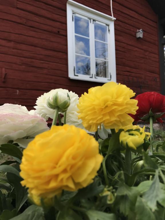 Visingso Pensionat Екстер'єр фото